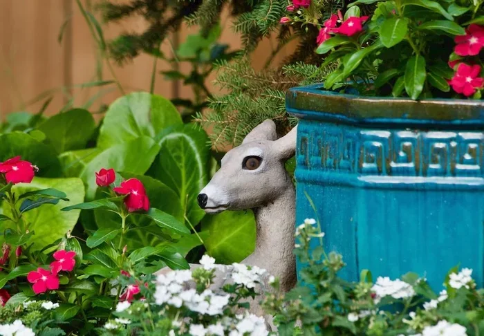 How to Keep Animals Out of Your Garden According to Experts